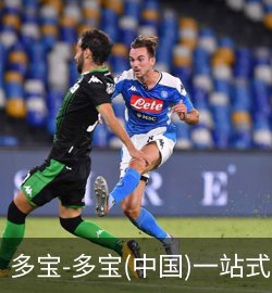 案例多宝